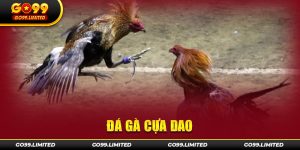 Đá gà cựa dao Go99