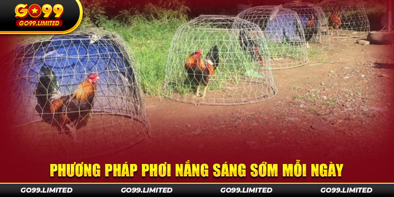 Phương pháp phơi nắng sáng sớm mỗi ngày