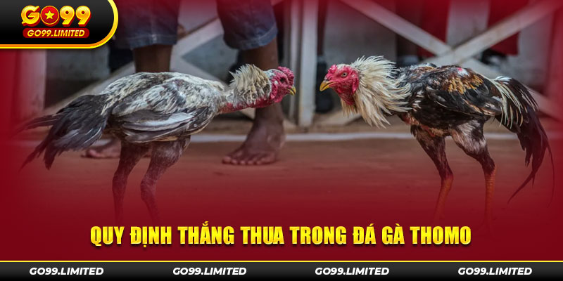 Quy định thắng thua trong các trận đá gà