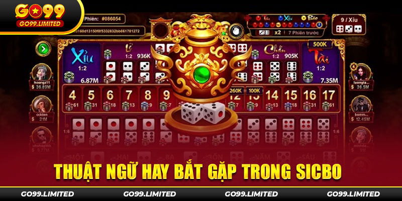 Thuật ngữ hay bắt gặp trong sicbo