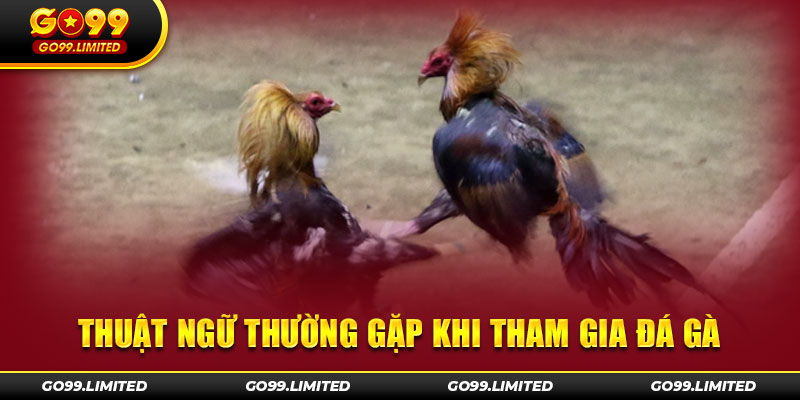 Thuật ngữ thường gặp khi tham gia cá cược