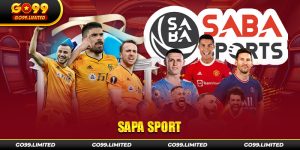 Sapa sport là sảnh cược thể thao