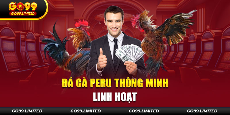 Sức hấp dẫn khi theo dõi chọi kê tại Go99