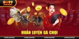 Cách huấn luyện gà chọi tại Go99