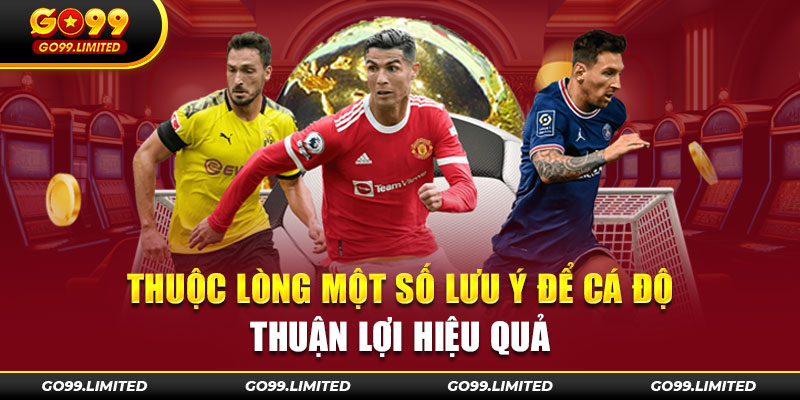 Thuộc lòng một số lưu ý để cá độ thuận lợi hiệu quả