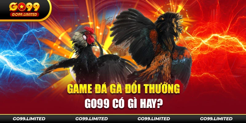 Game đá gà đổi thưởng GO99 có gì hay?