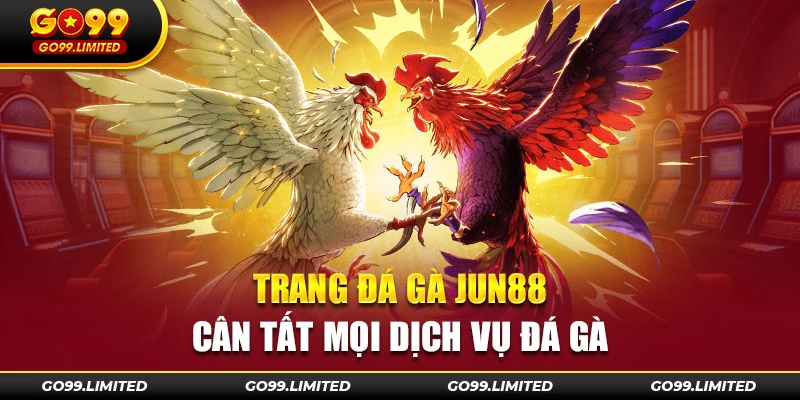 Trang đá gà Jun88 - cân tất mọi dịch vụ đá gà