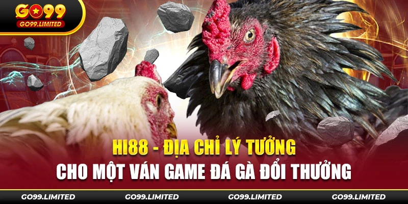 Hi88 - Địa chỉ lý tưởng cho một ván game đá gà đổi thưởng