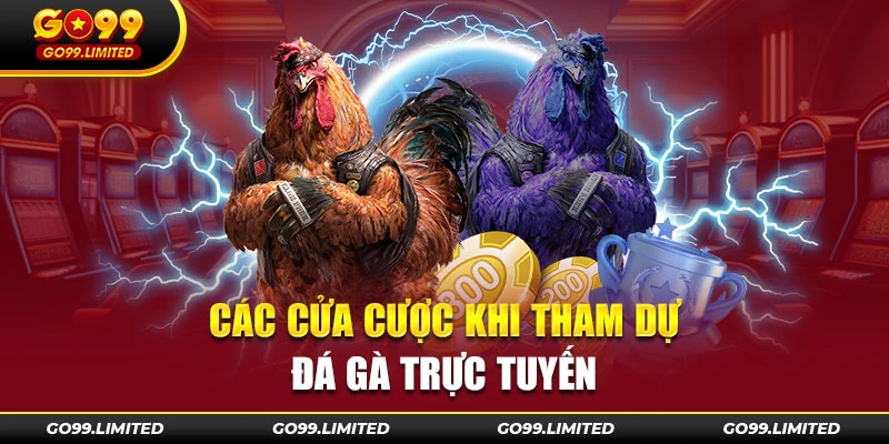 Các cửa cược khi tham dự đá gà trực tuyến