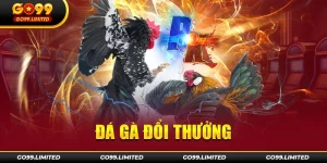 Đá gà đổi thưởng tại Go99